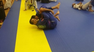 Copa BJJ 2015 12  