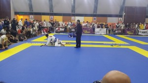 Copa BJJ 2015 7  